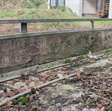 Aanhangwagen aanhanger Ansems / opknapper 8