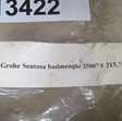 Overigen badkraan Grohe 5