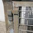 Magazijn gitterbox 2 stuks  5