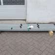 Hekwerk en toebehoren hekwerk staanders L2150x60x60mm / 5 stuks 2
