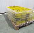 Magazijn magazijnbakjes 255 stuks o.a. Schäfer 2