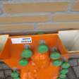 Decoratie mal voor een ijs-sculptuur 2