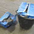 paneel / dakschroeven van RVS