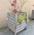 Tuin accessoire plantenbak van hout incl. vaste planten 1