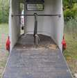 Aanhangwagen veewagen Westfalia 9