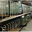 Magazijnstelling verdiepingsvloer entresolvloer met verdieping en trap van metaal ±14x26mtr 6
