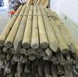 Diversen weide palen L160cm / 55 stuks 3